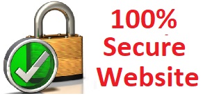 100% Secured Website